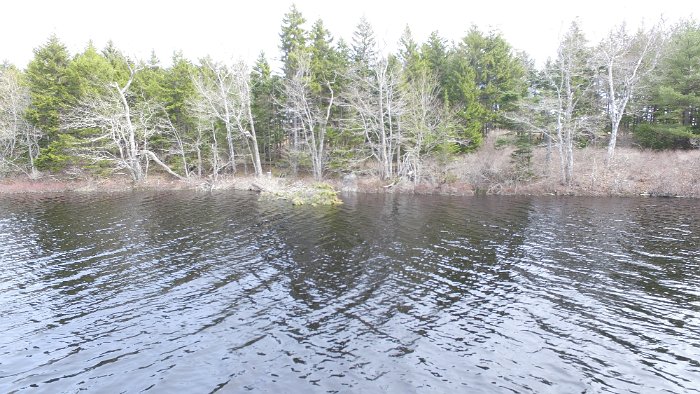 WentworthHalbinsel (94)